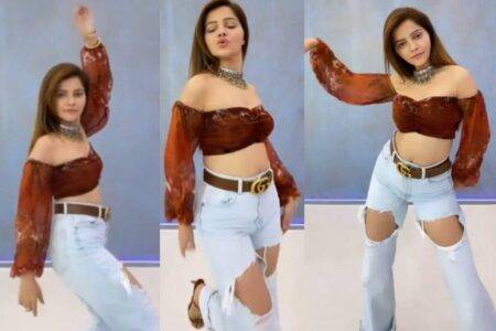 Rubina Dilaik Sext dance moves on Galat song video