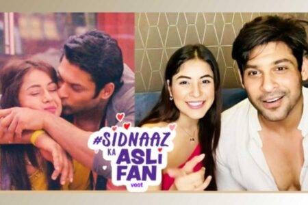 sidharth shukla and shehnaaz gill best couple