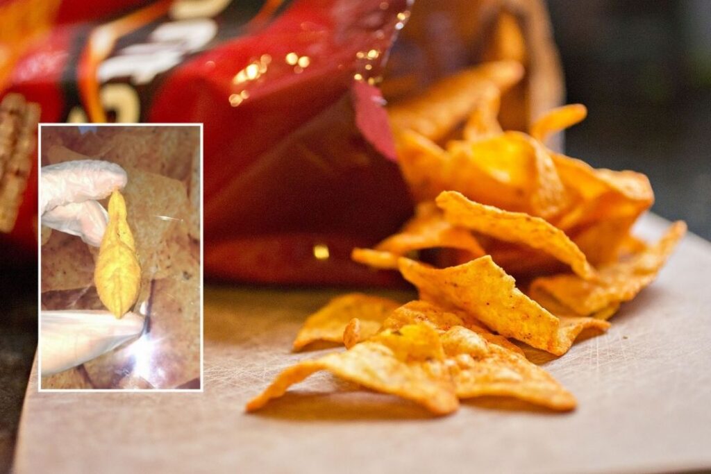 Australian Teen Rylee Stuart Earns $20,000 for Puffy Chip She Found in a Bag of Doritos.