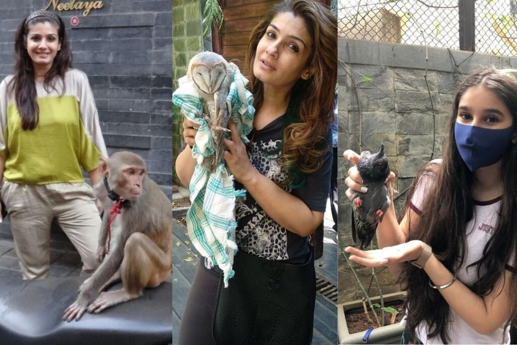 Raveena Tandon who is known for her love for animals and has often rescued them from the streets and helped them find good homes for adoption shares series of pictures with her pets.