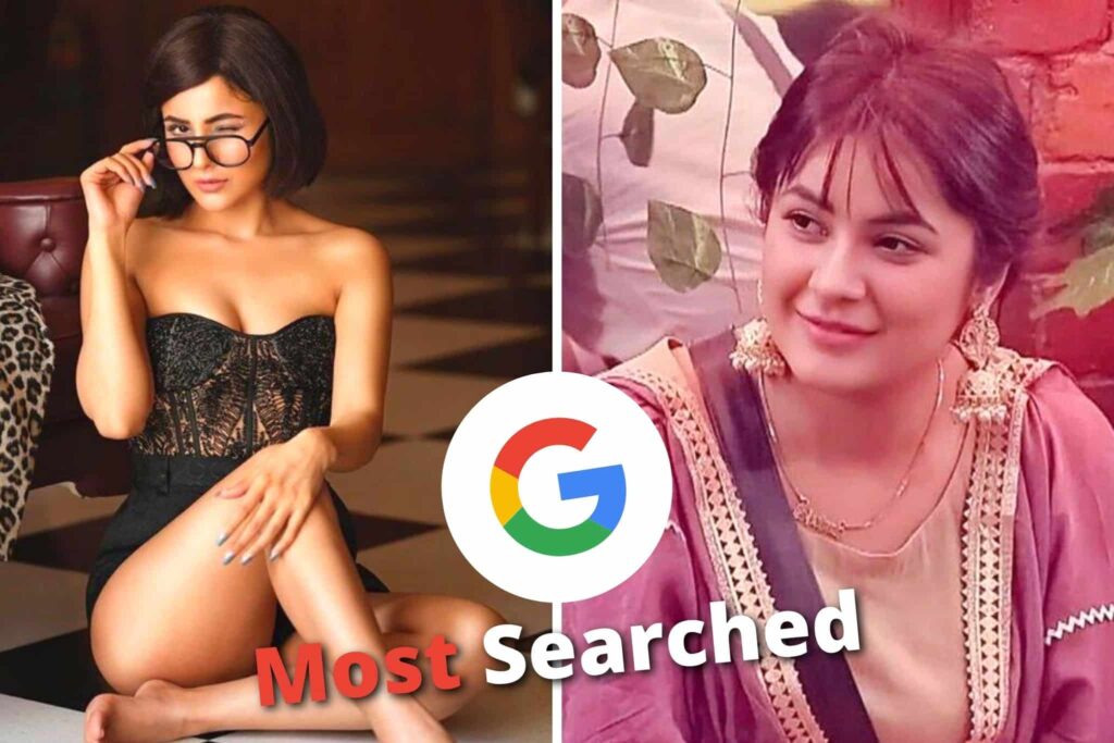 Bigg Boss 13 Fame Shehnaaz Gill Becomes The 3rd Most-Searched Personalities On Google India For 2021