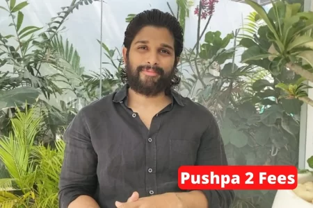 Allu Arjun Fees For Pushpa 2